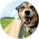 Genrikh Kenigsberger profile picture